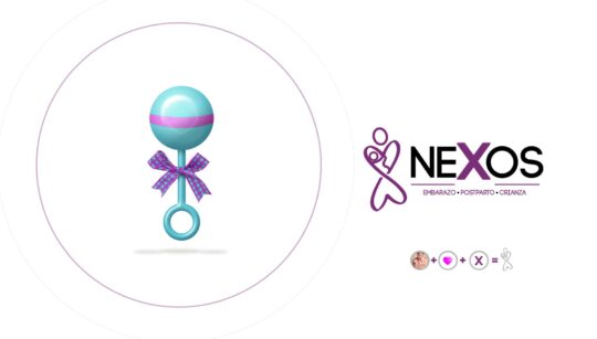 nexos portafolios