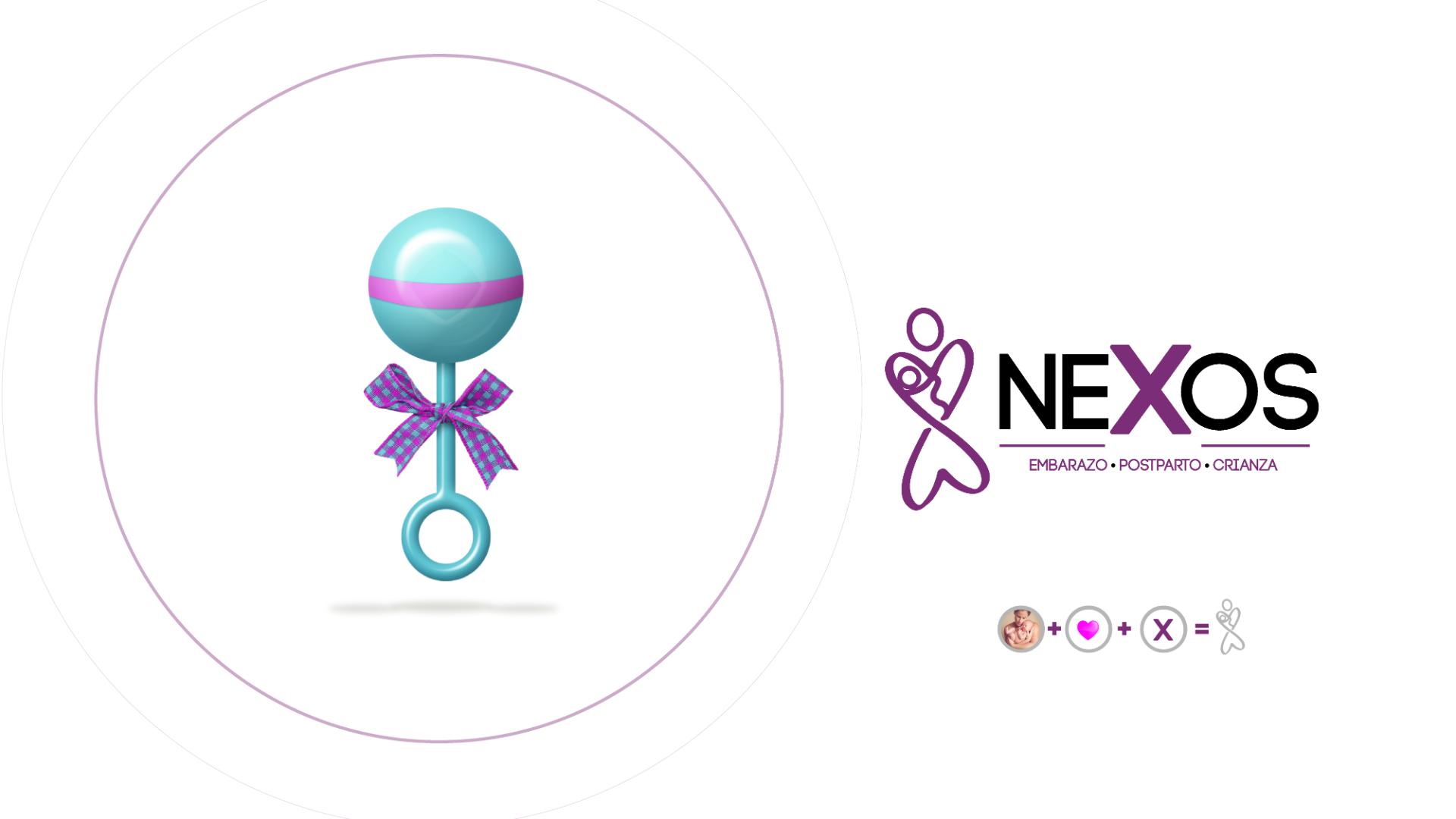 nexos portafolios